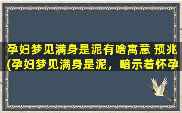 孕妇梦见满身是泥有啥寓意 预兆(孕妇梦见满身是泥，暗示着怀孕的不安和焦虑)